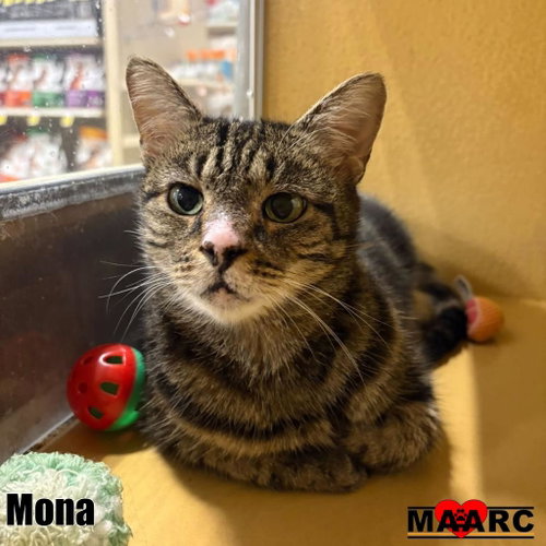 Photo 2 of Mona
