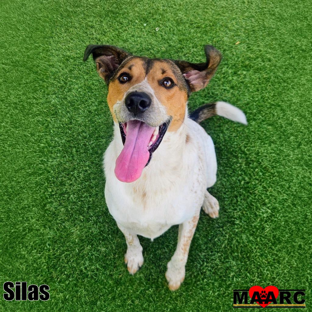 Silas