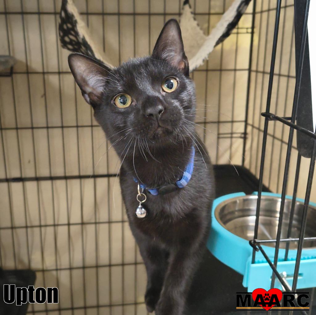 Upton