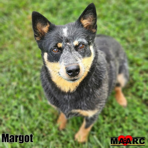 Photo 2 of Margot