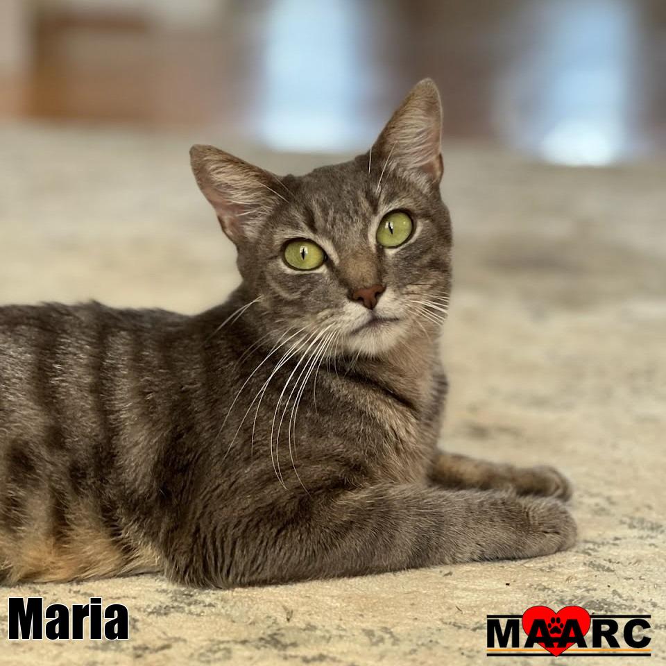 Maria, photo 2
