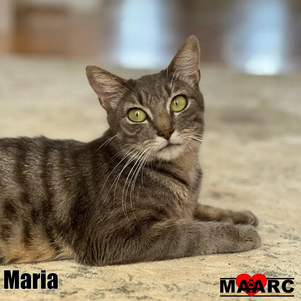 Maria image 2