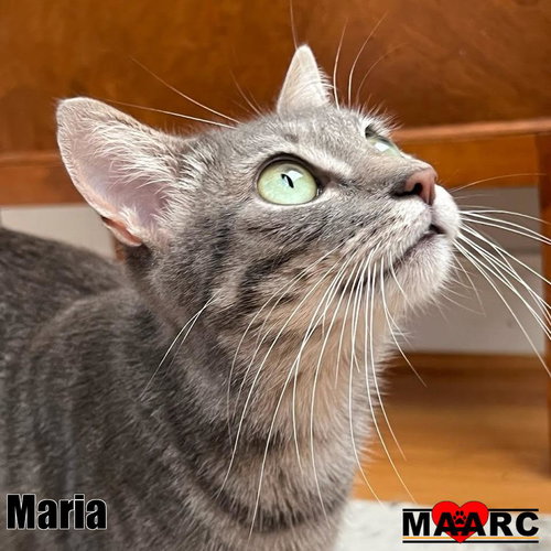 Photo 3 of Maria