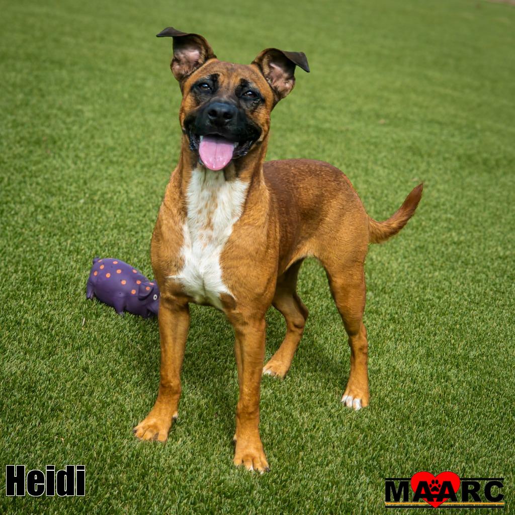 Heidi, photo 2