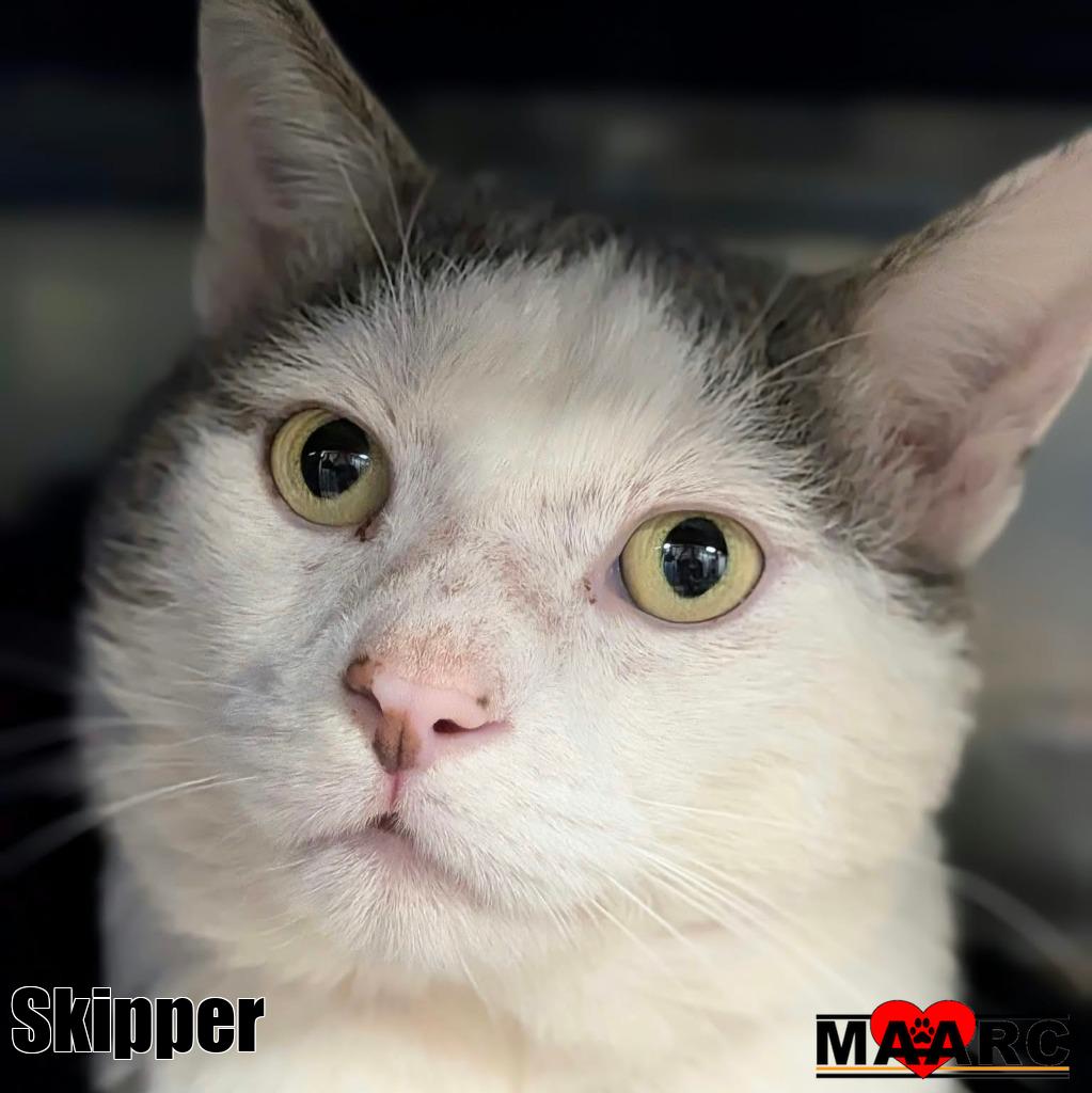 Skipper