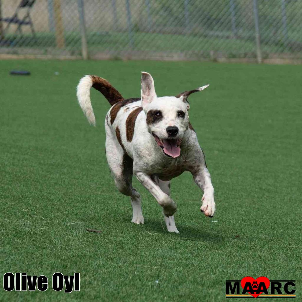 Olive Oyl, photo 2