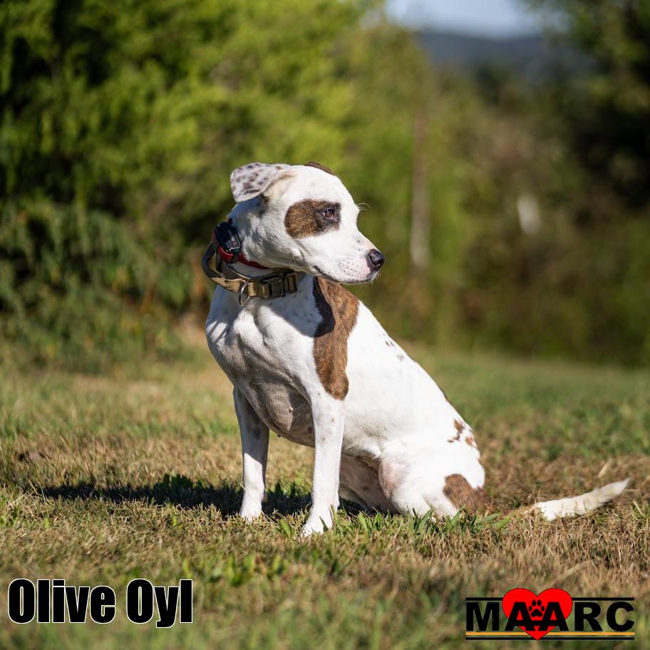Olive Oyl, photo 4