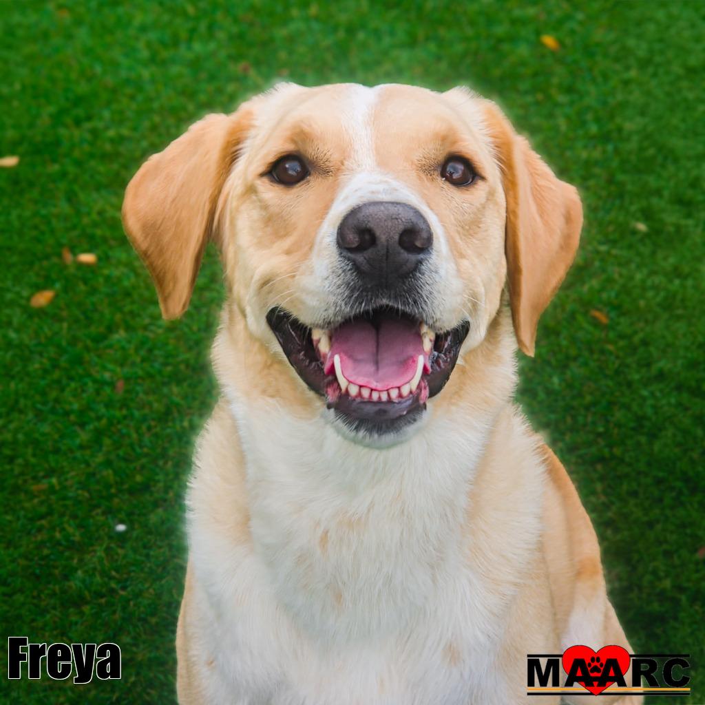 Freya
