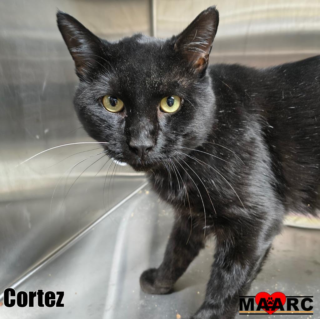 Cortez