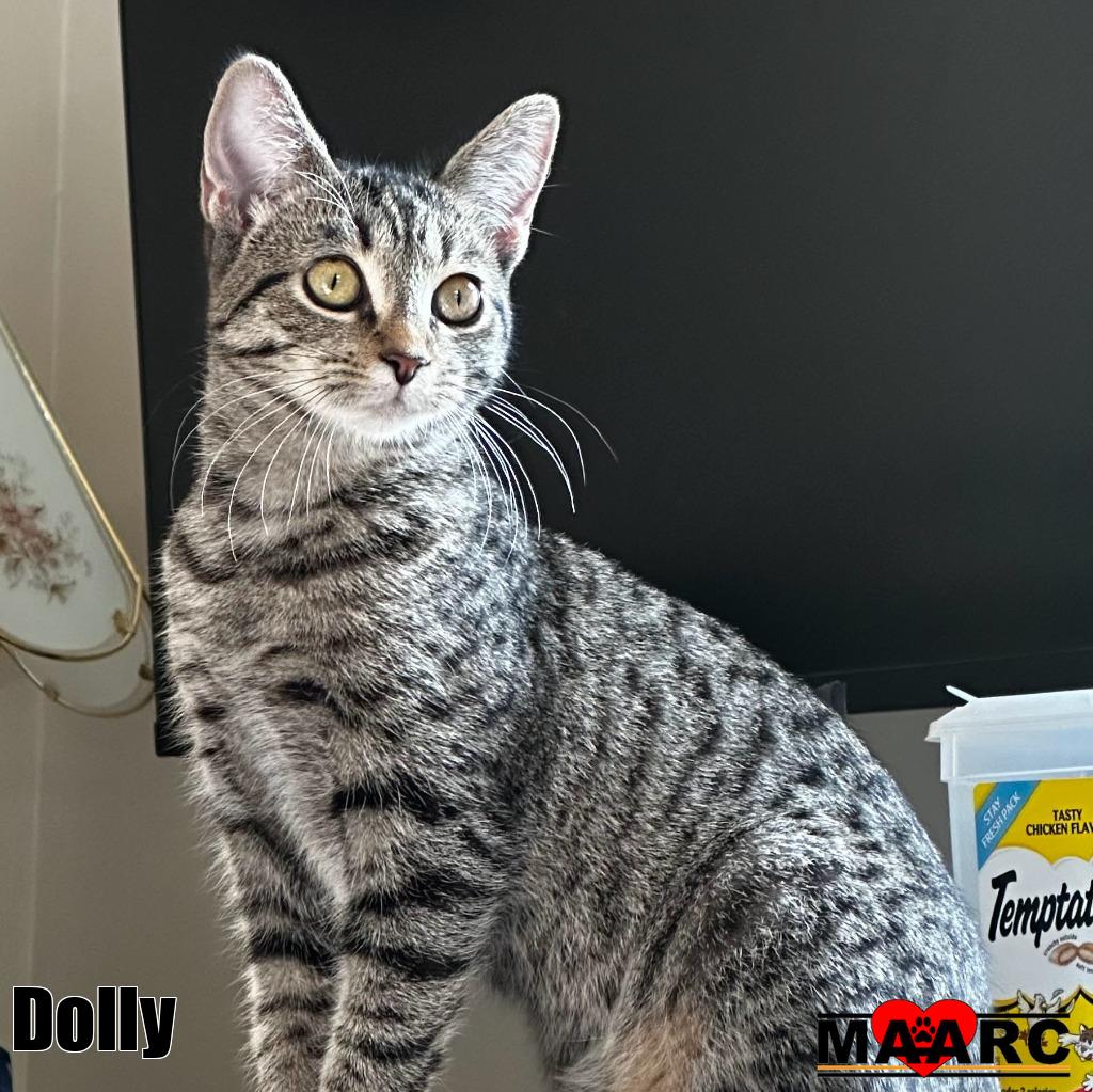 Dolly