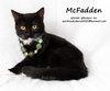 McFADDEN - Photo 3