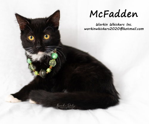Photo 3 of McFADDEN