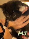 MJ - Photo 12
