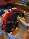 MJ - Photo 14