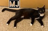 MJ - Photo 8