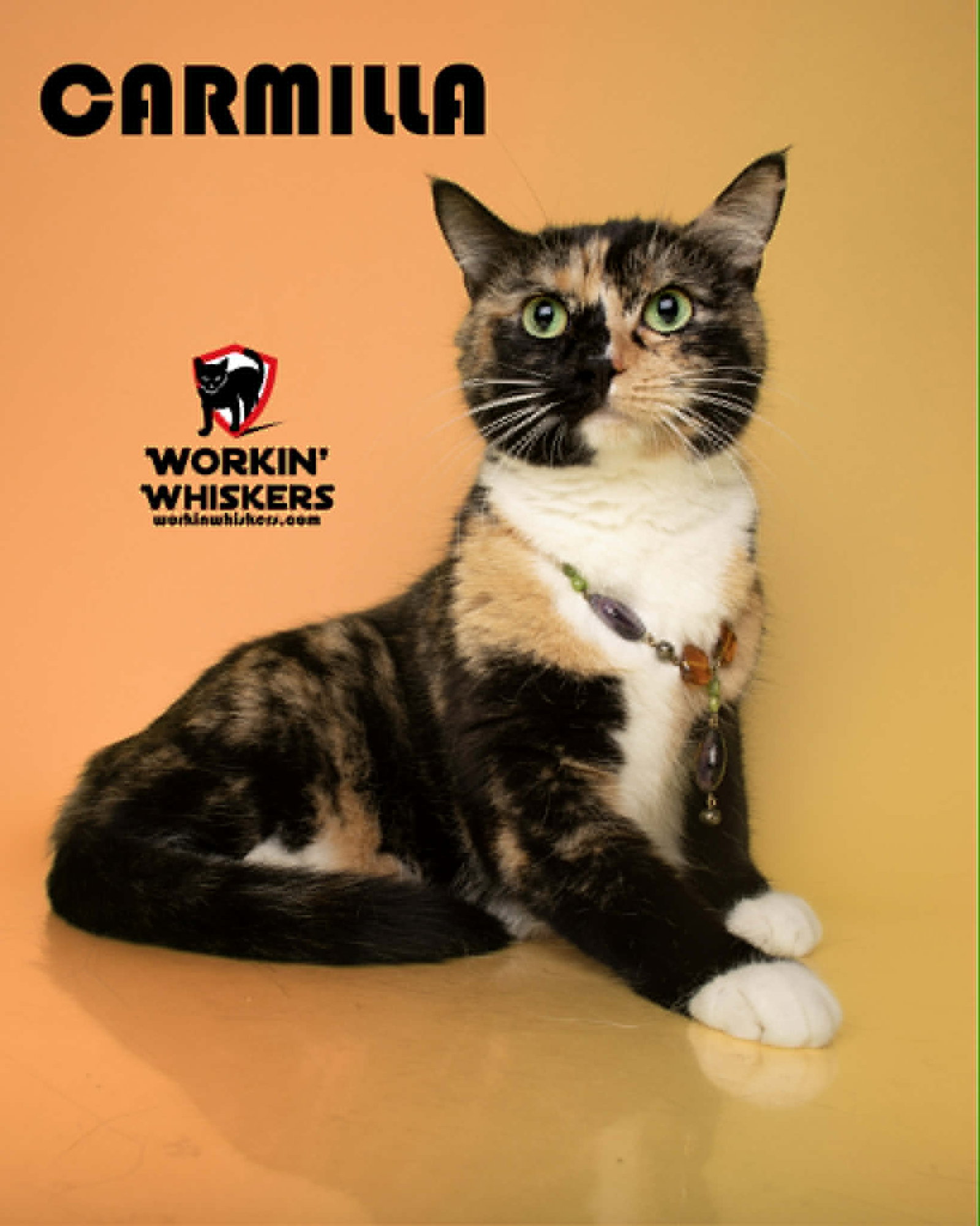 Carmilla, Calico