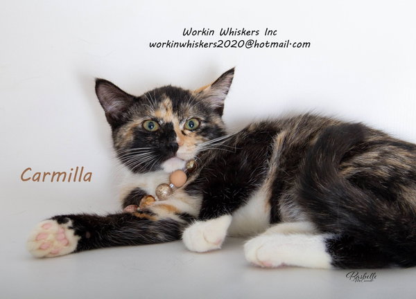 CARMILLA