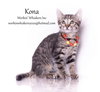 KONA - Photo 19