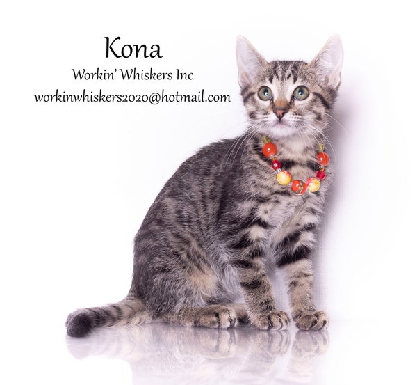 KONA