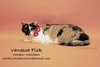 VANESSA FISK - Photo 3