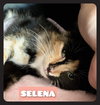 SELENA - Photo 9