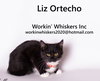 LIZ ORTECHO - Photo 11