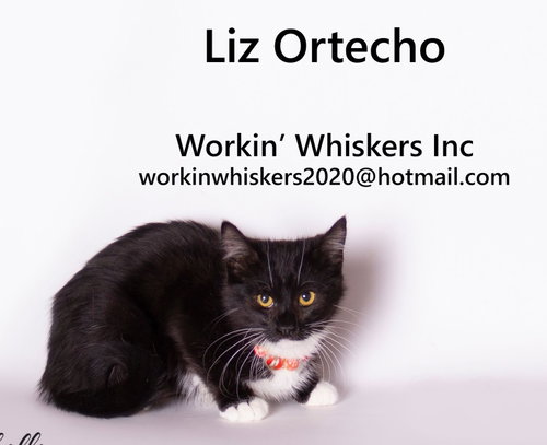 LIZ ORTECHO photo 12