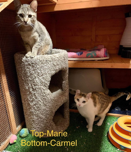 Photo of MARIE