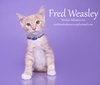 FRED WEASLEY - Photo 13