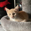 FRED WEASLEY - Photo 12