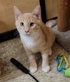 FRED WEASLEY - Photo 5