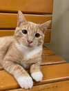 FRED WEASLEY - Photo 2