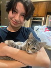 DAMEON - Photo 15