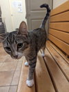 DAMEON - Photo 11