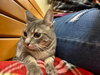 DORATHIA - Photo 8