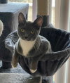 ELOISE - Photo 7