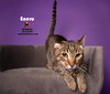 ENERU - Photo 1