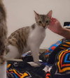 JULIAN - Photo 5
