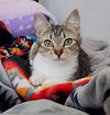 ROSITA BUSTILLOS - Photo 7