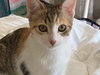 KIRA YUKIMURA - Photo 9