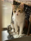 KIRA YUKIMURA - Photo 7