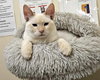FALKOR - Photo 4