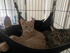 OLIVER - Photo 7