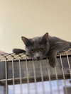 SAWYER - Photo 2