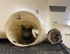 SAWYER - Photo 4