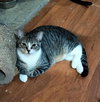 STUART - Photo 3