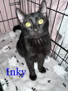 INKY - Photo 7