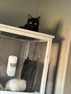 INKY - Photo 8