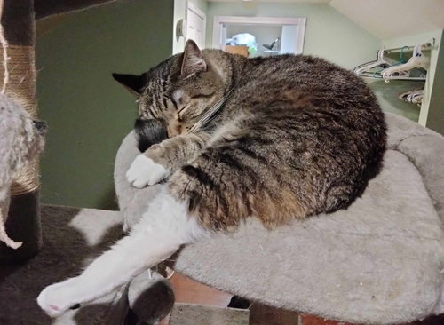 Photo of MIKITA