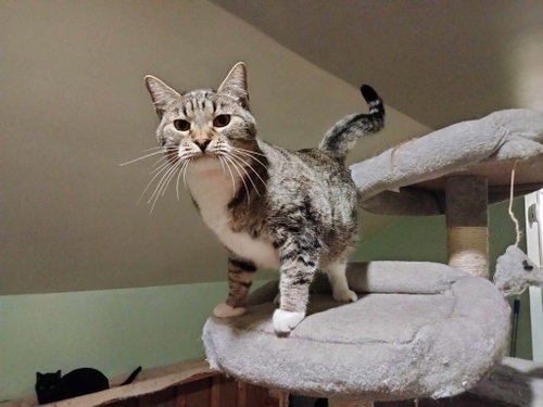 Photo of MIKITA